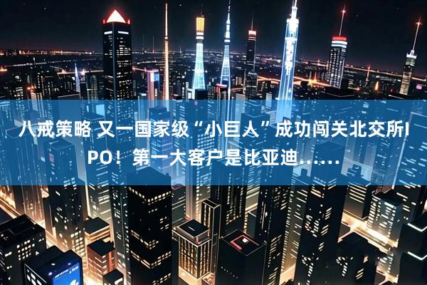 八戒策略 又一国家级“小巨人”成功闯关北交所IPO！第一大客户是比亚迪……