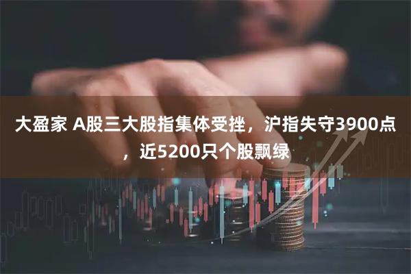 大盈家 A股三大股指集体受挫，沪指失守3900点，近5200只个股飘绿